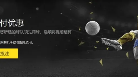 荷兰力克德国，首闯戴维斯杯决赛之旅